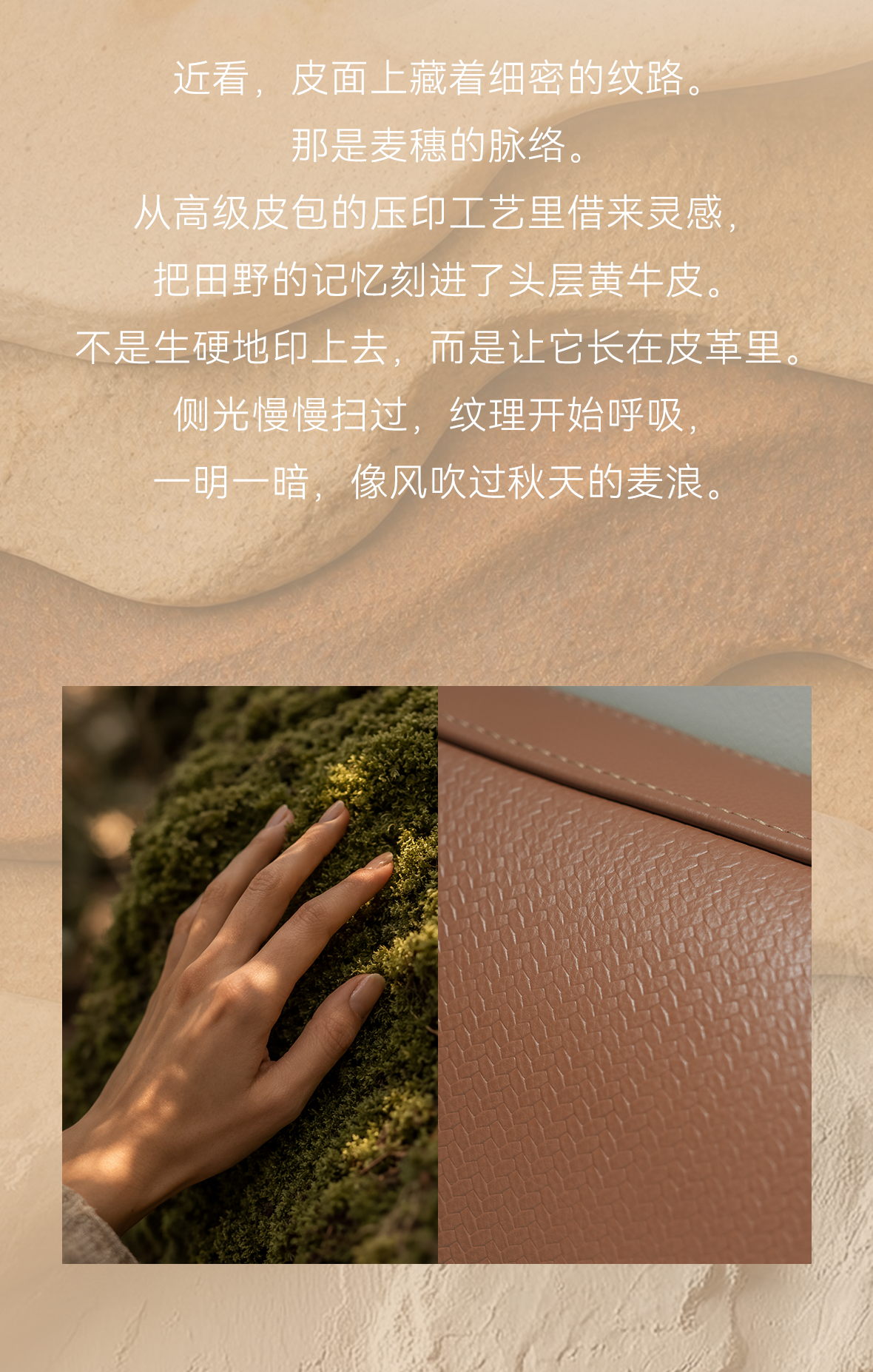 新品上市 | 向大地学习温润生长的「波尔多」(图6)