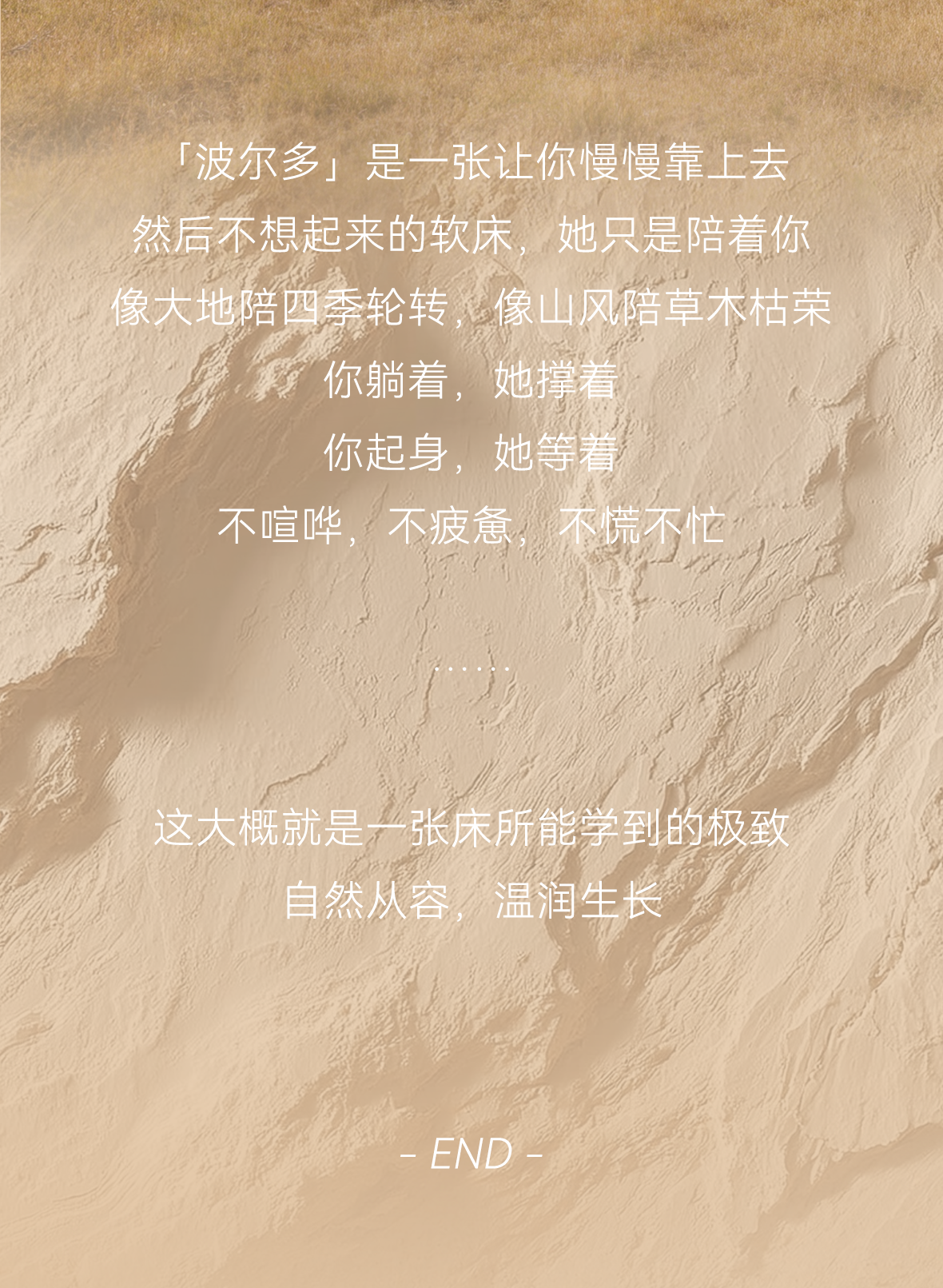 新品上市 | 向大地学习温润生长的「波尔多」(图11)