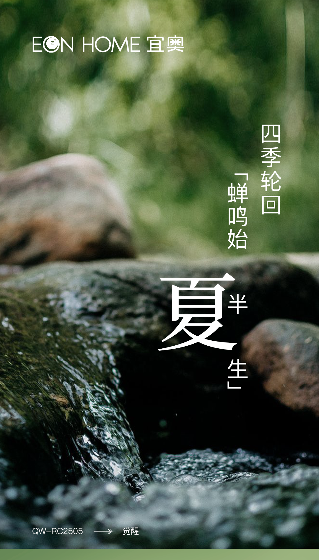 新品鉴赏 | 微风起，夏日醒