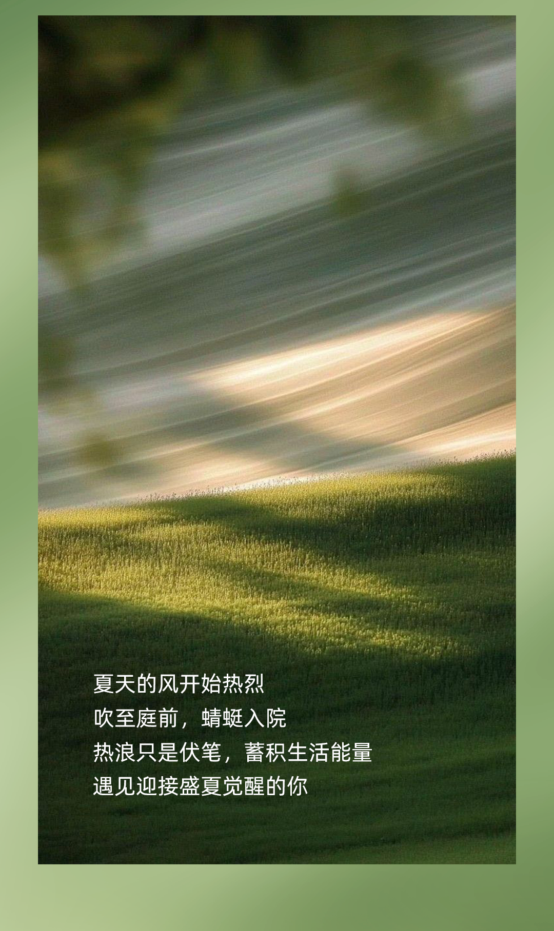 新品鉴赏 | 微风起，夏日醒(图2)
